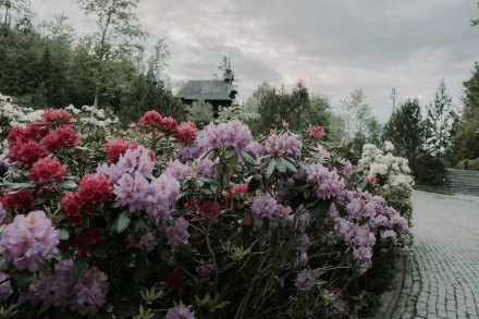 Wiślańskie Noce Muzeów 2024